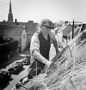 Thatching: Thatching