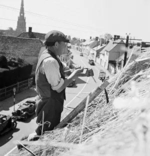 Thatching: Thatching
