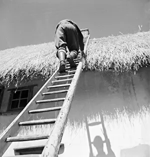 Thatching: Thatching