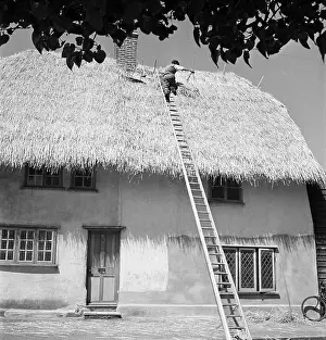 Thatching: Thatching