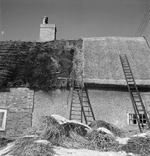 Thatching: Thatching