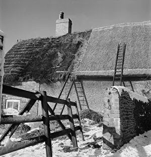 Thatching: Thatching