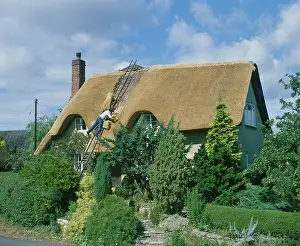 Comberton: THATCHING A COTTAGE