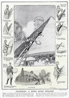 Roofing: Thatching - a dying rural industry