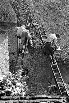 Thatch: Thatching, East Coker, Somerset