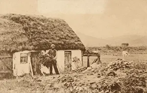 Thatching: Thatching - Hede, Sweden
