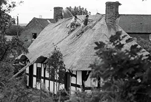 Timbered: Thatching Isaac Walton Cottage - 2