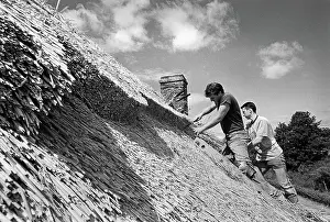 Timbered: Thatching Isaac Walton Cottage -3