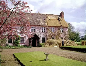 Thatching: Thatching at Pinn Court Farm, Pinhoe, Exeter, Devon
