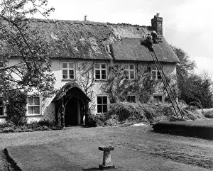 Thatching: Thatching at Pinn Court Farm, Pinhoe, Exeter, Devon