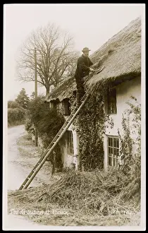 Thatching: THATCHING AT PORLOCK