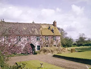 Thatchers: THATCHING A ROOF
