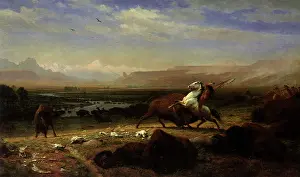 Ofns: The Last of the Buffalo