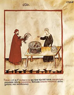 Commerces: Theatrum sanitatis (Codex 4182). Tacuinum Sanitatis