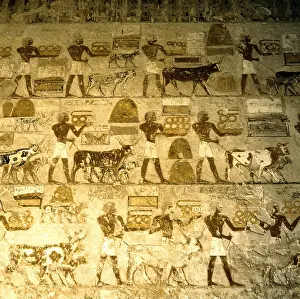 1479: Thebes, Egypt