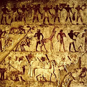 1479: Thebes, Egypt