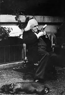 Mommsen: Theodor Mommsen in his garden