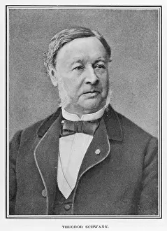 Metabolism: Theodor Schwann