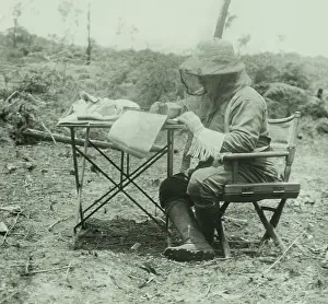 Tributary: Theodore Roosevelt did his writing in a head net