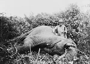 Conservationist: Theodore Roosevelt, with gun stands beside ?