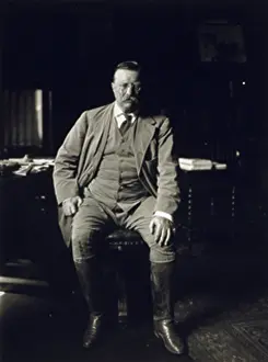 Sagamore: Theodore Roosevelt in his library at Oyster ?