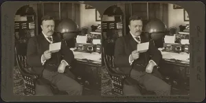 Theodore Roosevelt - President