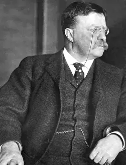Outlook: Theodore Roosevelt in his private office ?