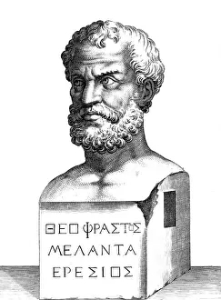 Theophrastus: Theophrastus bust