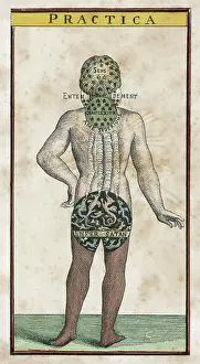 Understanding: THEOSOPHY MAN (BACK)