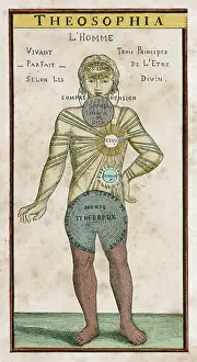 Earthly: THEOSOPHY MAN (FRONT)