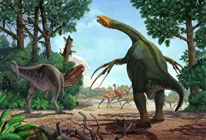 Agility: A Therizinosaurus prevents a young Tarbosaurus in his hunt ?
