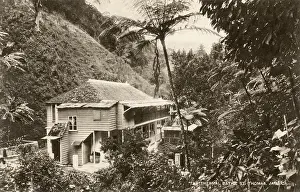 Jamaican: Thermal Baths, St Thomas, Jamaica, West Indies