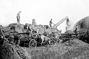Haymaking: Theshing machine in Manitoba, Canada, Victorian period