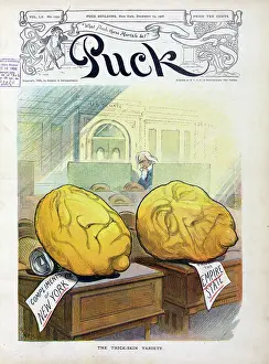 Platt: The thick-skin variety