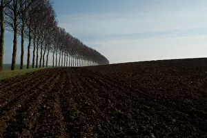 Ploughed: Thiepval, Somme