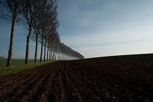 Ploughed: Thiepval - Somme Battlefield