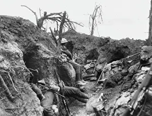 Thiepval Wood 1916