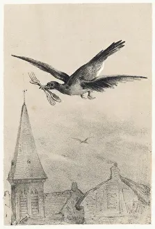 Pica: THIEVING MAGPIE C1750