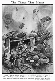 Raspberry: The Things That Matter by Bruce Bairnsfather