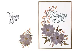 Pressed: Thinking of You ' Larkspur and Heuchera