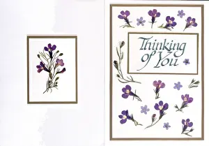 Nots: Thinking of You ' Lobelia & Forget-me-nots