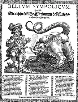 Jorg: Thirty Years War 1618 - 1648, horrors of war