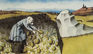 Melons: THOMAS of Cantimpre (1201-1276). Codex Granatensis: