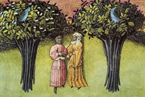 Blackwoman: THOMAS of Cantimpre (1201-1276). Codex Granatensis: