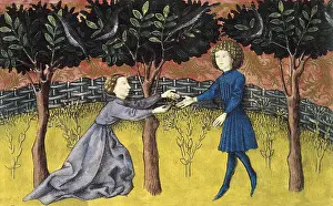 Herbaceous: THOMAS of Cantimpre (1201-1276). Codex Granatensis: