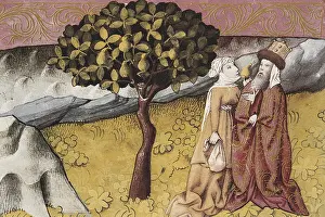 Botanica: THOMAS of Cantimpre (1201-1276). Codex Granatensis: