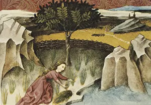 Cantimpre: THOMAS of Cantimpre (1201-1276). Codex Granatensis:
