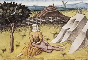 Herbaceous: THOMAS of Cantimpre (1201-1276). Codex Granatensis:
