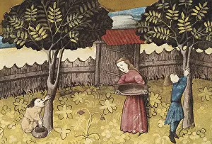 Motherly: THOMAS of Cantimpre (1201-1276). Codex Granatensis: