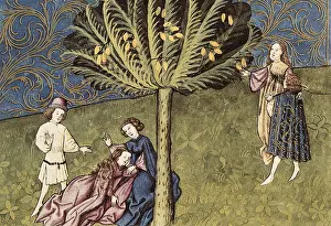 Metaphyta: THOMAS of Cantimpre (1201-1276). Codex Granatensis: